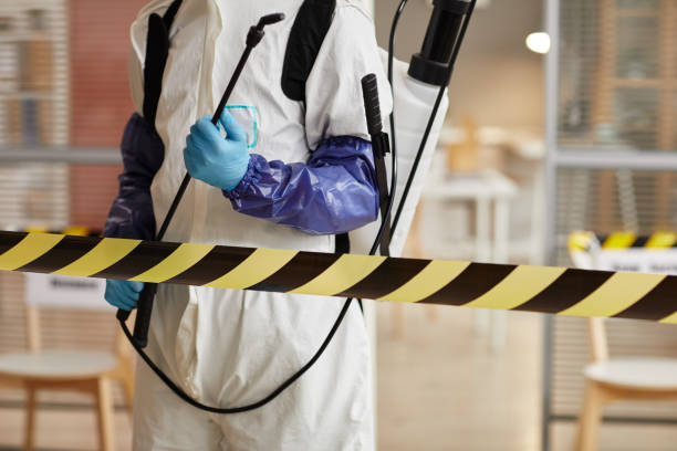 Professional Sewage Cleanup technician working in Milan, IL
